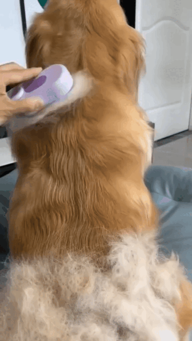 🐾 Cepillo Vaporizador para mascotas | 2X1 🐶🐱