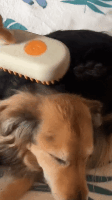 🐾 Cepillo Vaporizador para mascotas | 2X1 🐶🐱