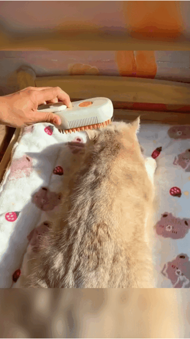 🐾 Cepillo Vaporizador para mascotas | 2X1 🐶🐱